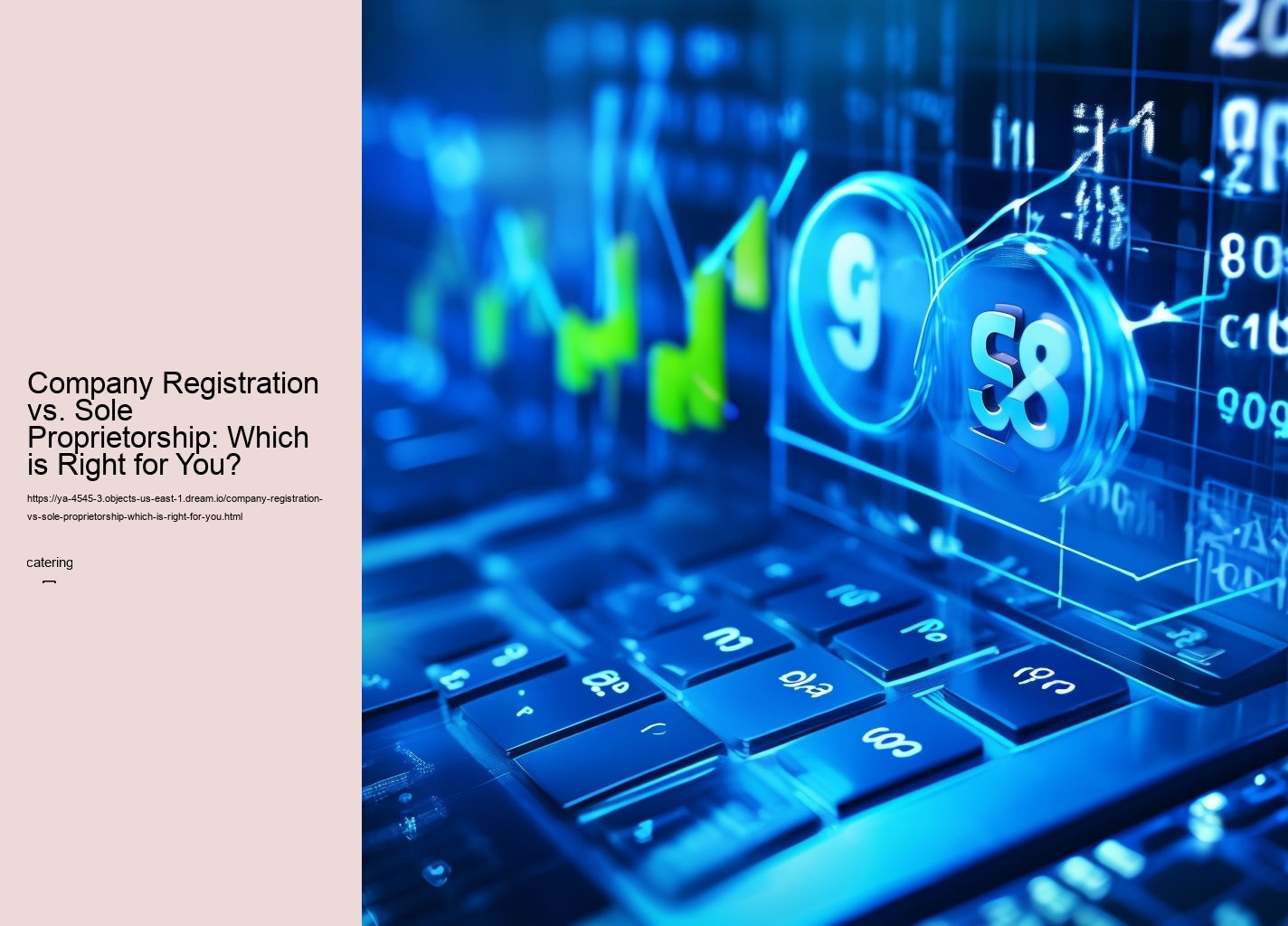 Company Registration vs. Sole Proprietorship: Which is Right for You?